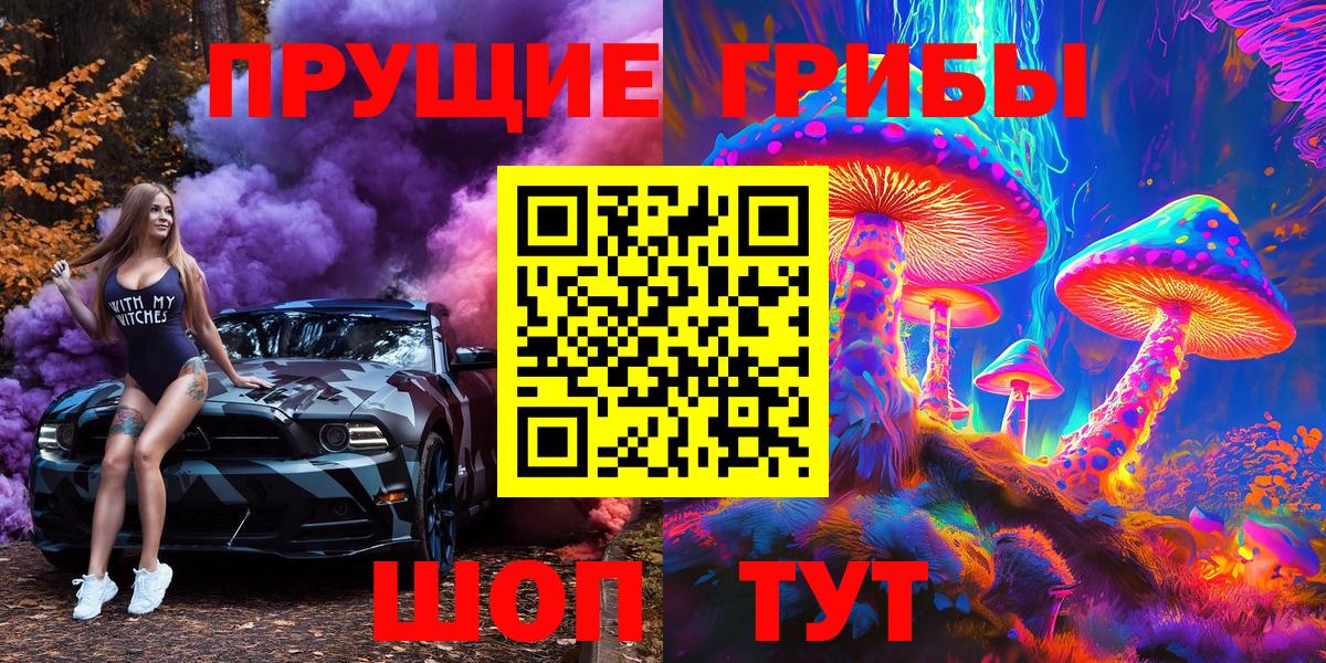 Галлюциногенные грибы Psilocybine cubensis Междуреченск